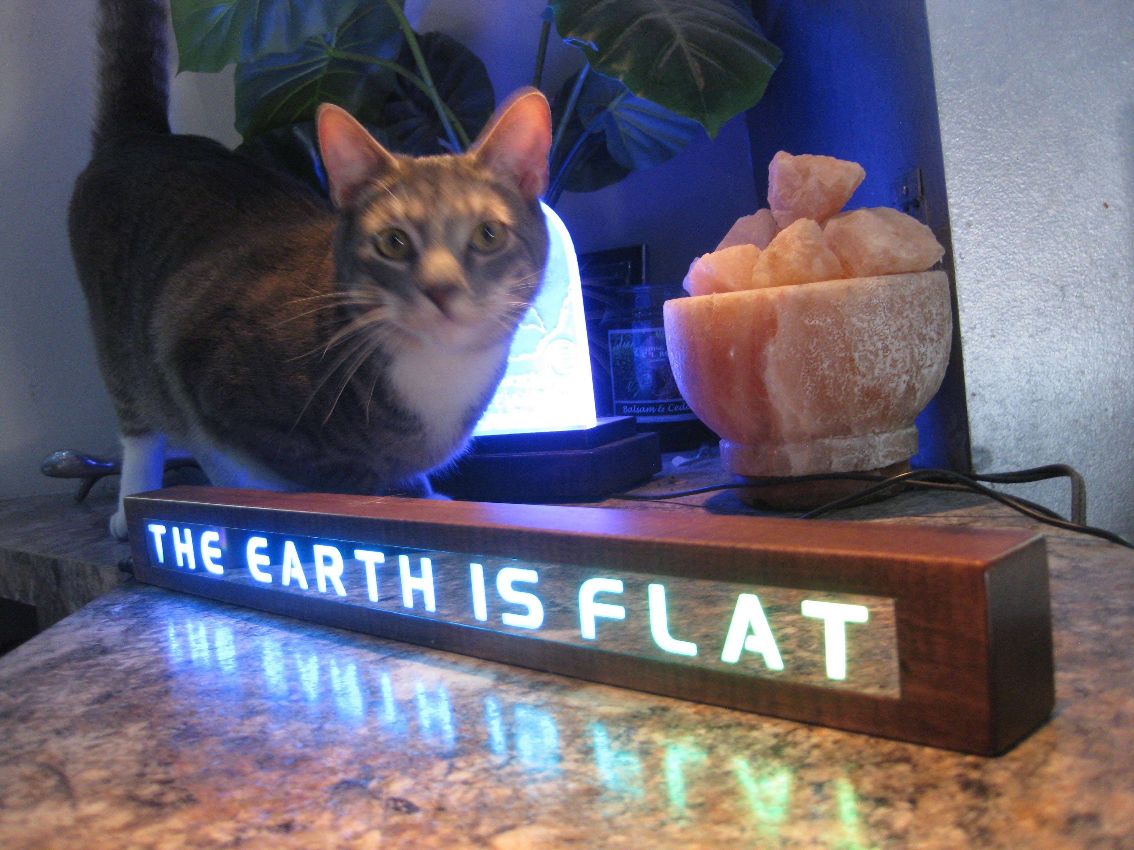 THE EARTH IS FLAT chase light Marquee 3.0